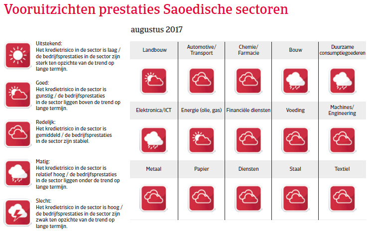 Saoedi-Arabië Landenrapport 2017 - Vooruitzichten